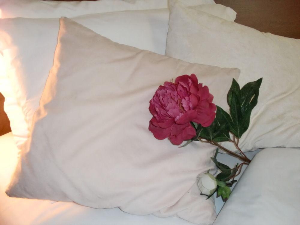 Riviera Hotel 3*